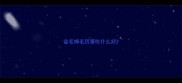 金毛掉毛厉害吃什么好
