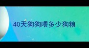 40天狗狗喂多少狗粮