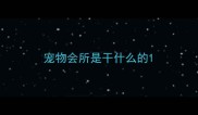 宠物会所是干什么的