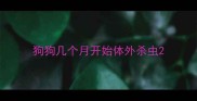 狗狗几个月开始体外杀虫
