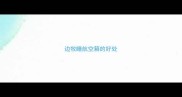 边牧睡航空箱的好处