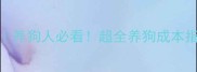 狗狗每月开销清单养狗人必看超全养狗成本指南附省钱攻略