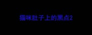 猫咪肚子上的黑点