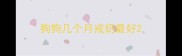 狗狗几个月戒奶最好