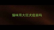猫咪用大狂犬疫苗吗