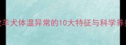 边境牧羊犬体温异常的10大特征与科学养护指南