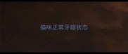 猫咪正常牙龈状态