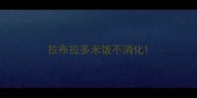 拉布拉多米饭不消化