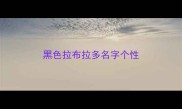 黑色拉布拉多名字个性