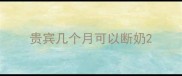 贵宾几个月可以断奶