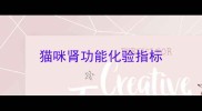 猫咪肾功能化验指标