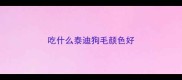 吃什么泰迪狗毛颜色好