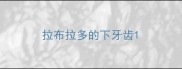 拉布拉多的下牙齿