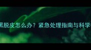 狗狗蛋蛋发黑脱皮怎么办紧急处理指南与科学护理全攻略