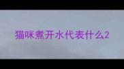 猫咪煮开水代表什么