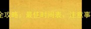 小猫疫苗接种全攻略最佳时间表注意事项及常见问题
