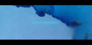 拉布拉多修剪造型设计