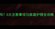 小狗感冒能开窗通风吗5大注意事项与家庭护理全攻略附缓解症状方法
