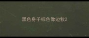 黑色身子棕色像边牧