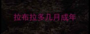 拉布拉多几月成年
