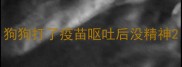 狗狗打了疫苗呕吐后没精神