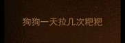 狗狗一天拉几次粑粑