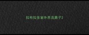 拉布拉多室外养流鼻子