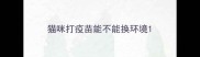 猫咪打疫苗能不能换环境
