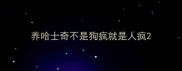 养哈士奇不是狗疯就是人疯