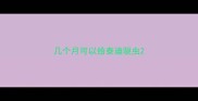 几个月可以给泰迪驱虫