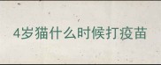 4岁猫什么时候打疫苗