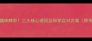 新生猫咪畸形三大核心诱因及科学应对方案附专业