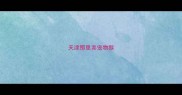 天津那里卖宠物猴
