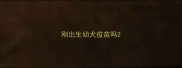 刚出生幼犬疫苗吗