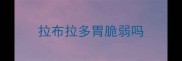 拉布拉多胃脆弱吗