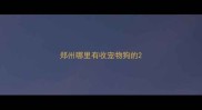 郑州哪里有收宠物狗的