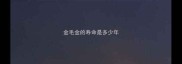金毛金的寿命是多少年