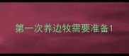 第一次养边牧需要准备