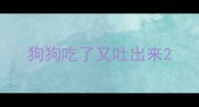 狗狗吃了又吐出来