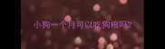 小狗一个月可以吃狗粮吗