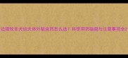 边境牧羊犬幼犬体外驱虫药怎么选科学用药指南与注意事项全