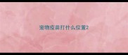 宠物疫苗打什么位置