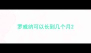 罗威纳可以长到几个月