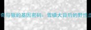 哈士奇与狼的基因密码雪橇犬背后的野性血缘