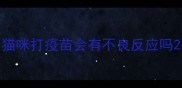 猫咪打疫苗会有不良反应吗