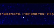 泰迪幼犬辅食添加全攻略3月龄后这样喂才科学新手养宠必存