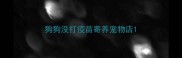狗狗没打疫苗寄养宠物店