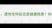 黑色拉布拉多脚有白毛遗传性特征还是健康隐患科学护理指南与应对方案
