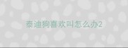 泰迪狗喜欢叫怎么办