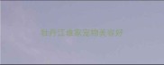 牡丹江谁家宠物美容好